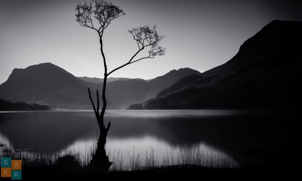 Пейзаж в черно белом цвете