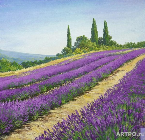 Лавандовые поля Манэ