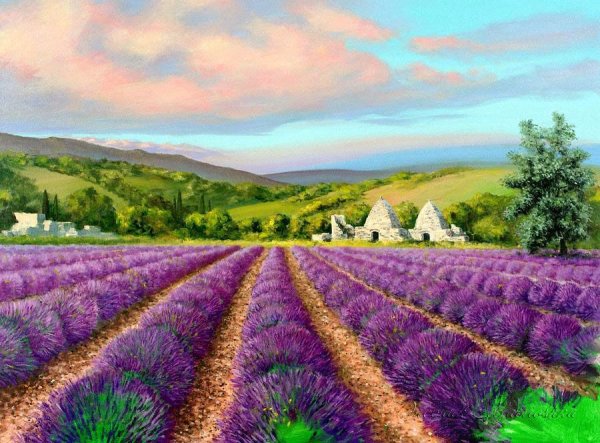 Тоскана с полями лаванды