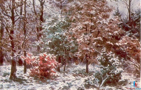 Акварель Андрияки Гороховец