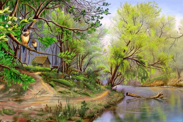 Рисунки природы