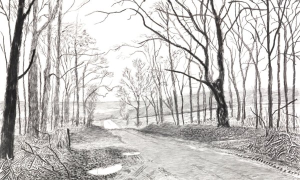Рисунки карандашом природа