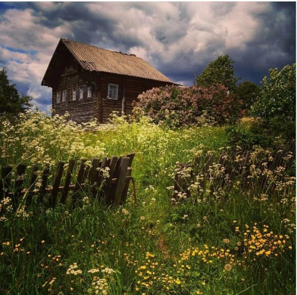 Художник Фред Сван картины