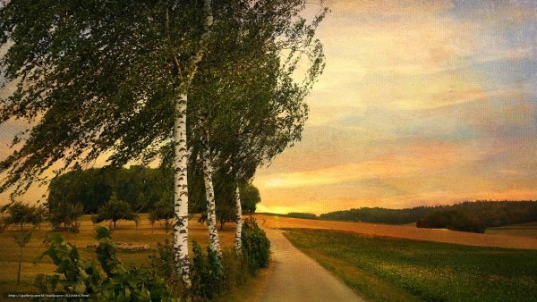 Булыгин Николай художник осеннее утро