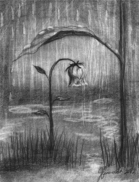 Рисунки карандашом природа дождь