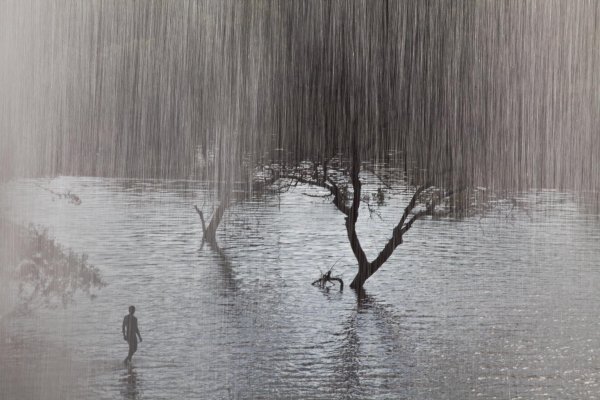 Дождь Графика