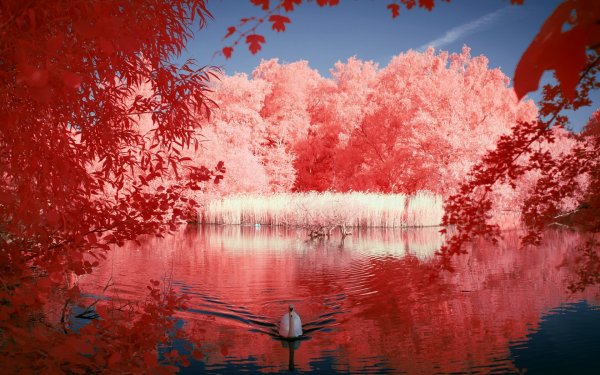 Красная природа