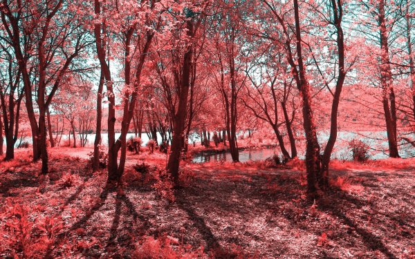 Красный пейзаж