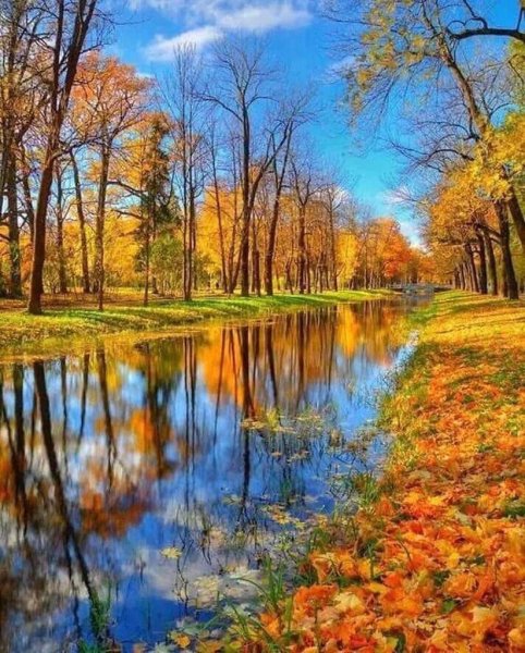 Осенний пейзаж