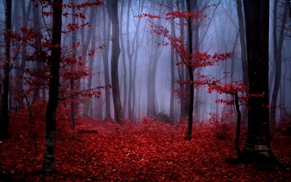 Багровый лес