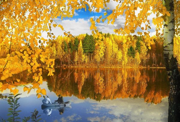 Золотая осень пейзаж