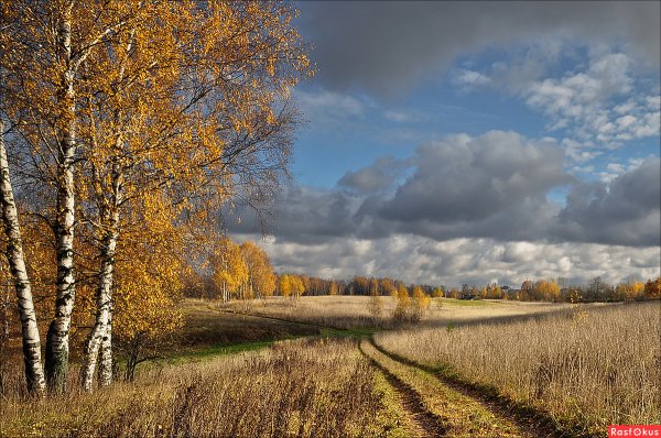 Пейзажи России осень
