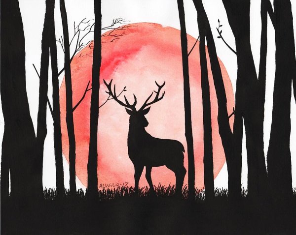 Силуэты животных в лесу