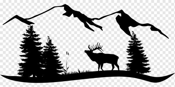 Силуэты природы