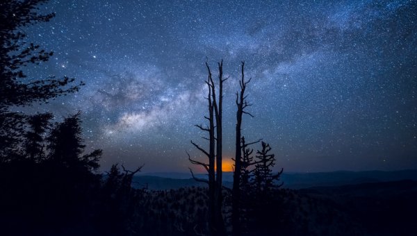 Природа ночь звезды