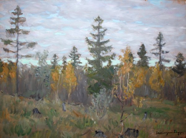 Бирюля Бялыницкий-Бируля