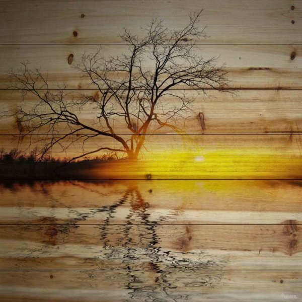 Живопись на досках