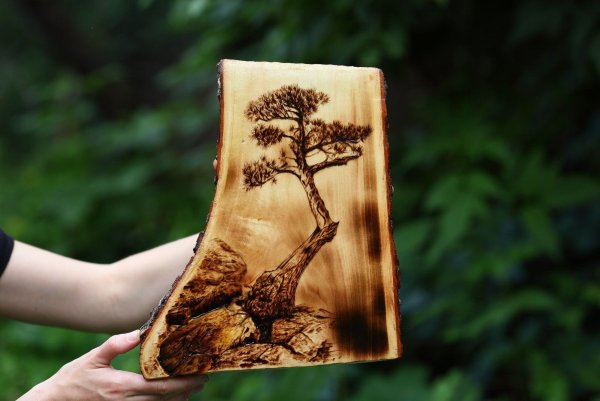 Выжженное дерево