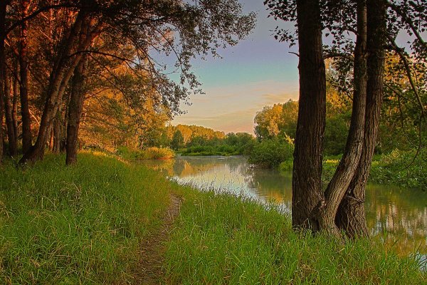 Пейзаж река и лес