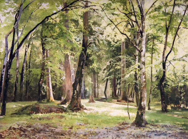 Андрей Николаевич Шильдер (1861-1919)