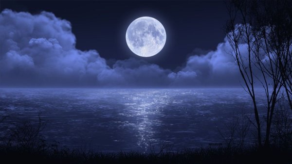 Ночная Луна