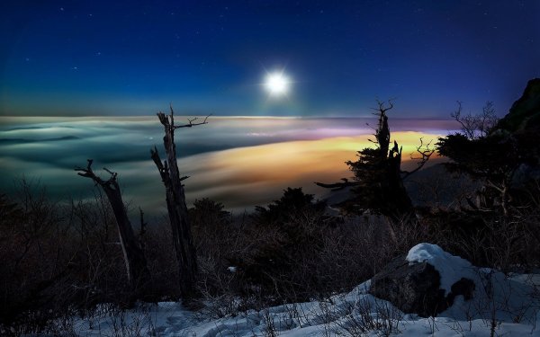 Природа в лунном свете