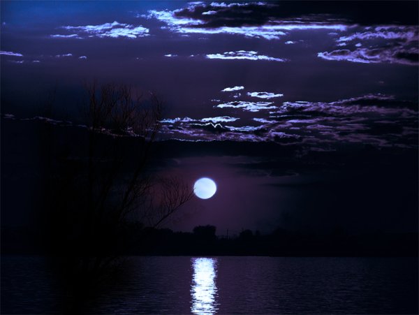 Лунный пруд