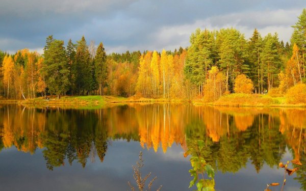 Осень природа река озеро лес