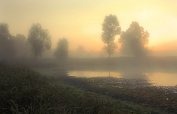 Пейзаж утренний туман