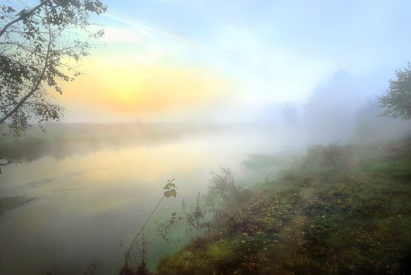 Рассвет река туман