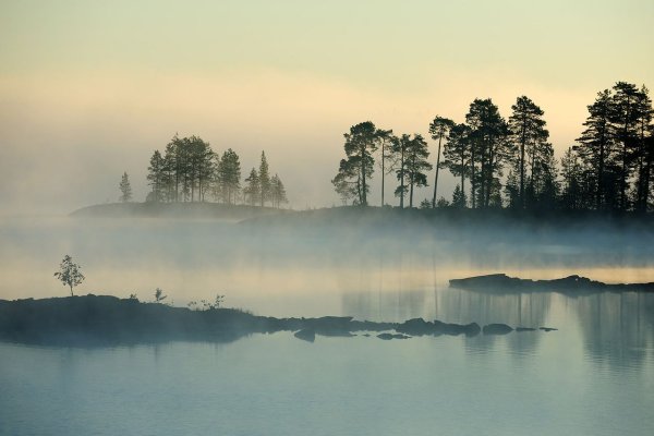 Туманный рассвет в Карелии