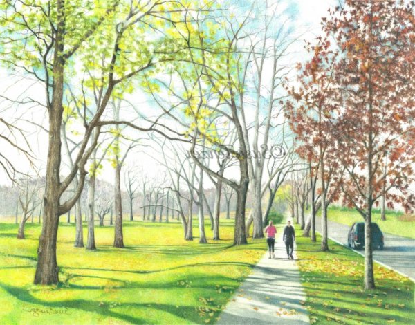 Городской пейзаж с деревьями