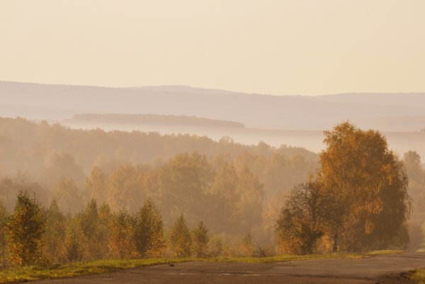 Аллея в перспективе
