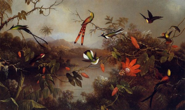 Martin Johnson heade картины