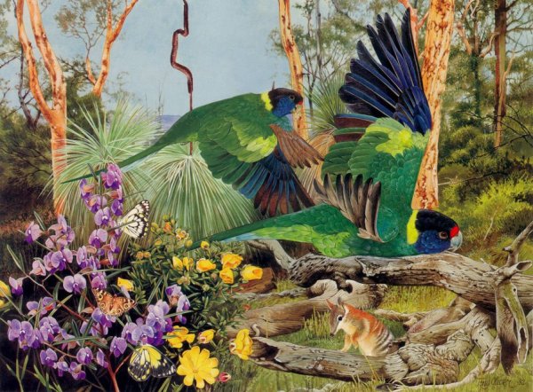 Тропические птицы живопись