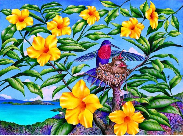 Птичка тропики