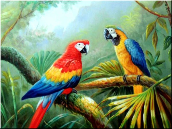 Экзотические птицы живопись