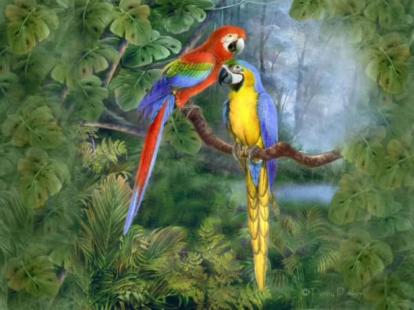 Пенни Паркер картины