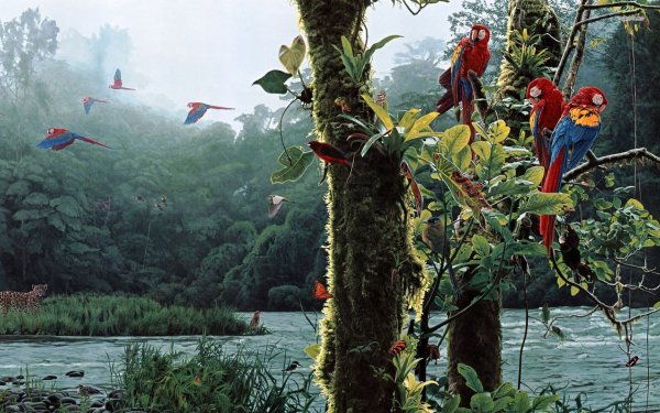 Пейзажи Амазонии