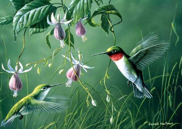 Джеймс Хаутман (James Hautman