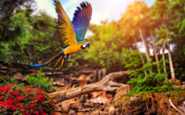 Телевизор NORDSTAR NSTV-2801 28"