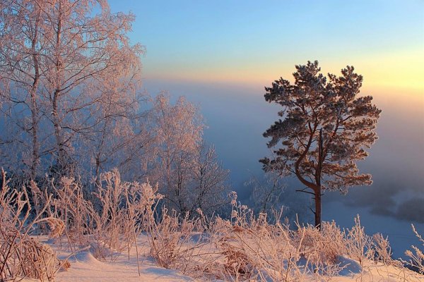 Морозное утро пейзаж