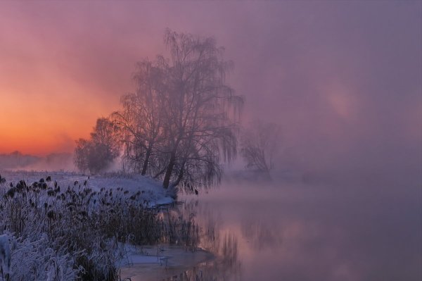 Розовый рассвет зимой