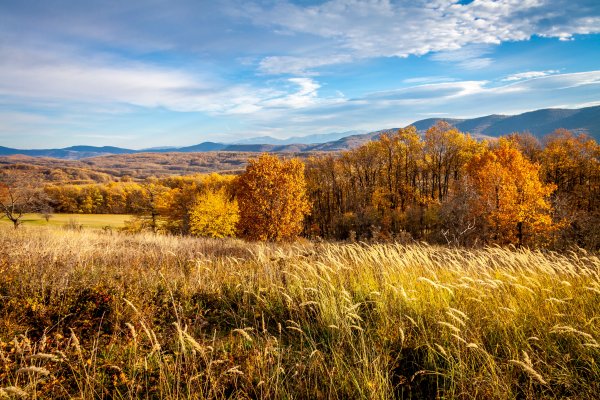 Поле осенью