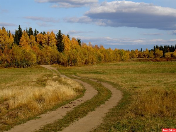 Природа осень поселок Самодед