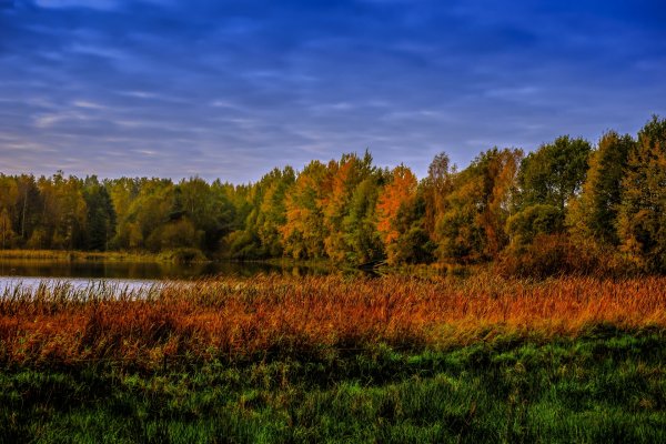 Осень в России