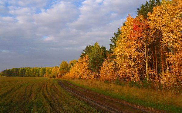 Осень в России