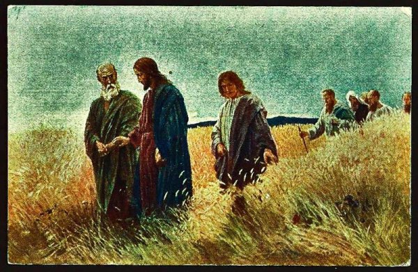 Петра и Павла