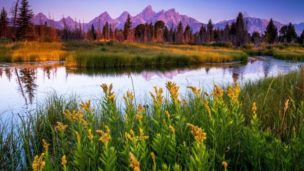 Красивый пейзаж