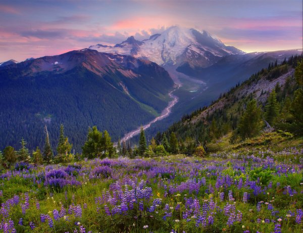 Национальный парк Олимпик США